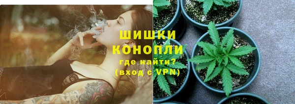 гидра Касимов