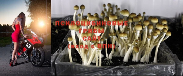 мдпв Нестеровская