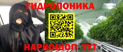 PSILOCYBIN Уссурийск
