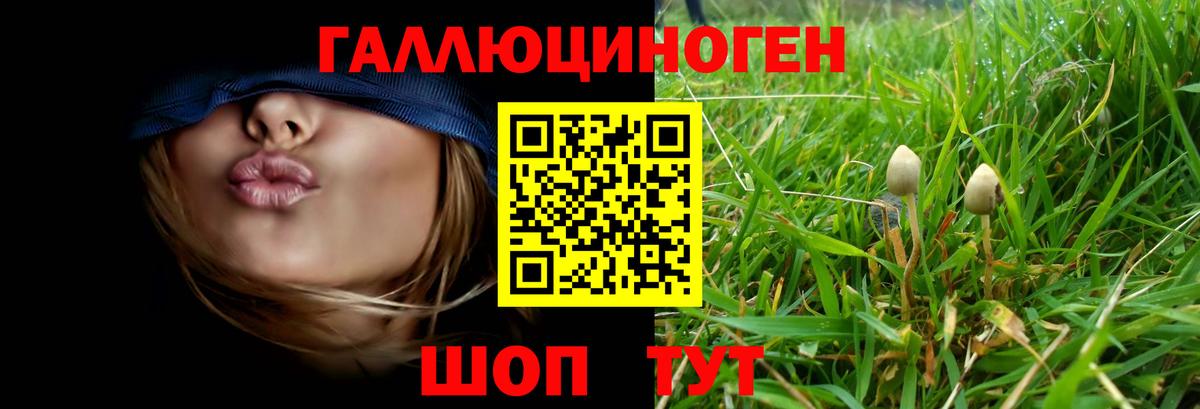 Киржач  Галлюциногенные грибы Psilocybine cubensis  Вход с VPN 